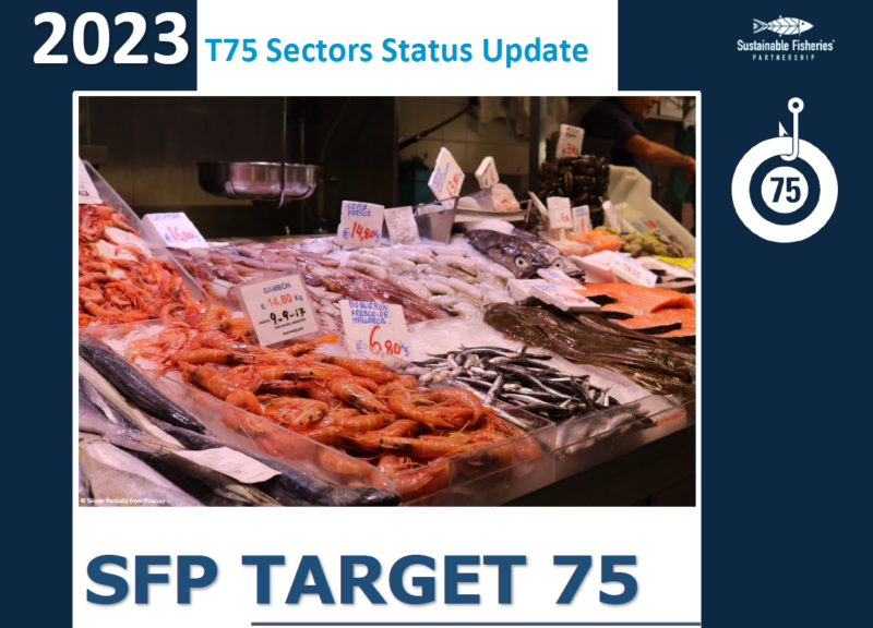 Captura de pantalla de la portada de la actualización del estado de los sectores de la T75 de 2023 en la que aparece un mostrador de marisco con varios tipos de marisco fresco a la venta.